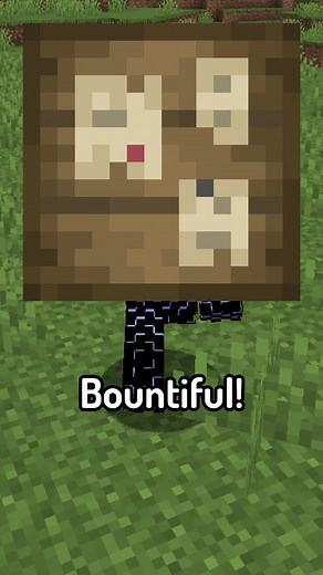 Enhance Your Minecraft Experience with Bountiful Mod