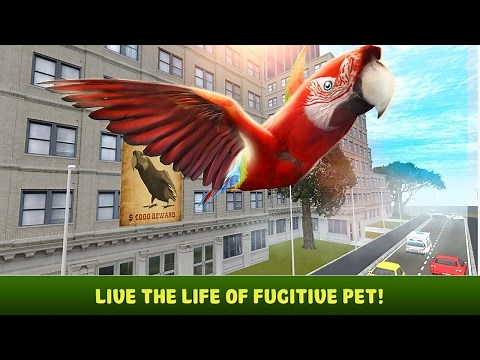 🐦👍City Bird Parrot Simulator 3D - By Wild Animals Life Simulation- iTunes/Android
