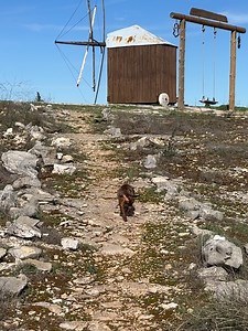 Liliana Santos on Reels