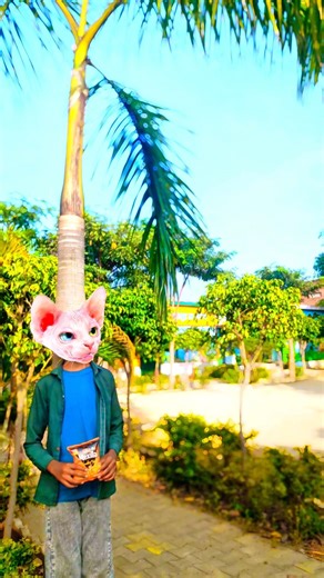 cat so cute 🤣#shorts #cutebaby #funny #cutebaby #youtubeshorts