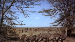 King Solomons Mines (1950) Deborah Kerr, Stewart Granger, Richard Carlson