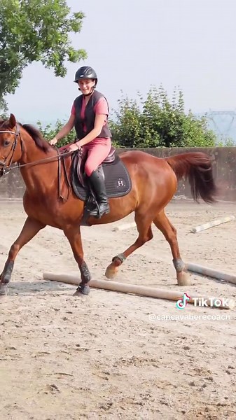 #equitation #cheval #poney #cavalier #cavaliere #horse #pourtoi #jumping #showjumping