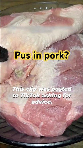 Pigs are just like us. They get cancer, infections, and abscesses, too 🫣