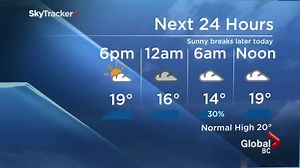 Weather Reporter Freaks Out Over Giant Spider—Watch the Hilarious Video!