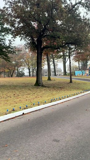 Walking to Graceland: A Raw Footage Experience