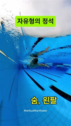 자유형의 정석 #freestyleswimming #swimming #swim #수영 #자유형