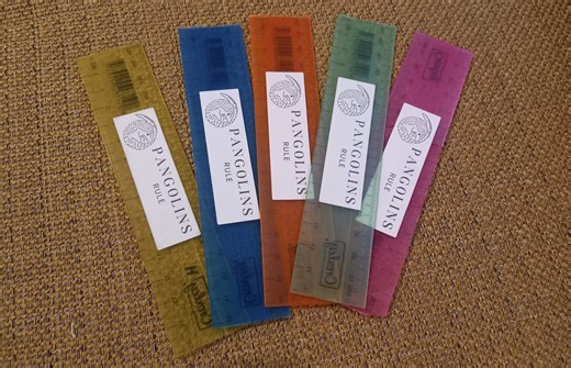 Kulu Inspired Teacher's 'Pangolins Rule!' Initiative That Raised Funds at School