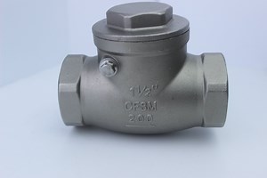 [Hot Item] Stainless Steel Thread Swing Check Valve (NPT)