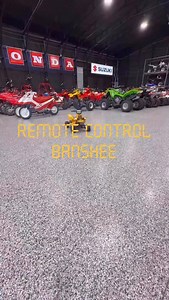 36K views · 1.1K reactions | Remote Control Banshee search Amazon 6v ride on Banshee for the body. | thebansheechannel | Facebook