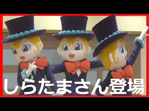 【うたおう】しらたまさん登場！【おどろう】