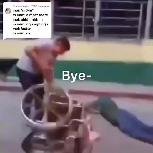 Reply to @kepin._.765 y’all running the fandom rn #turningred #stopruiningthefandom