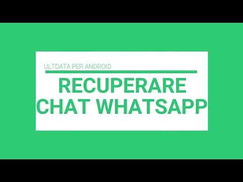 Recuperare Chat Whatsapp Android
