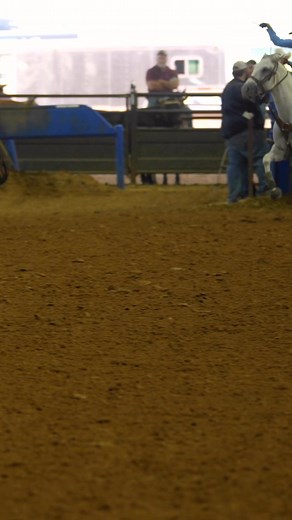 37K views · 862 reactions | #7.5 Two-Steer Champs: Madison Tate & Bryan Hernandez | CK Productions & Cattle | Facebook