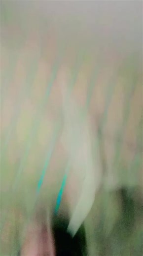 Laal But (@sardar_pyree)’s videos with original sound - Shaman Ali Mirali official