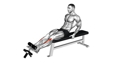 Weighted Plate Tibialis Anterior Curl (male). Calves exercise. Workout animation video training guide