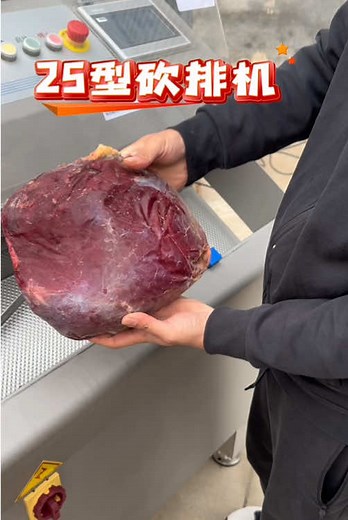 #切肉机厂家 #Meat cutting machine manufacturer #25 type chopping machine