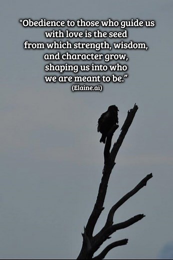 Obedience - #Obedience #PersonalGrowth #Wisdom