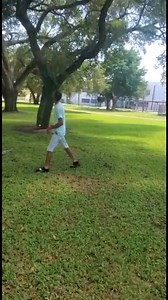 Iguana Breeding Season In Florida #championtheiguanaking #wildlife #florida #ExploreWildlife #reptile #greeniguana #express #explorarpage #exotic #outdoors #iguana #invasivespecies #fyoupageシ #hunting #wildlifeplanet | Champion BrooksWebster