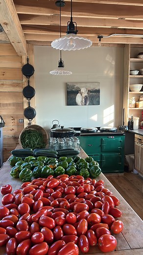 Canning tomatoes 🍅 We canned 12 quarts of tomatoes & 11 quarts of pickles. We also froze 11.5 quarts of green peppers 🫑🍅🥒 Canning can make for long days in the kitchen, but it’s one of my favorite places to be. | Untamed Farm