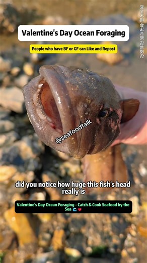 Valentine's Day Ocean Foraging: Catch and Cook Seafood