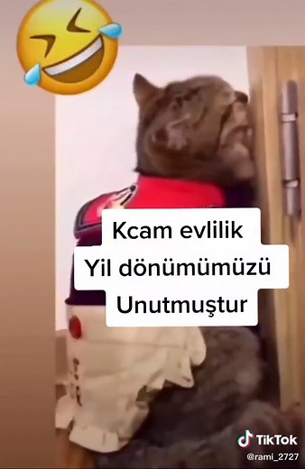 Funny Marriage Anniversary Quotes for Couples | Hilarious Anniversary Messages