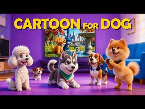Best Dog Cartoon for Puppies to Watch 2026, in Colors They Can See🐶Adventure in Sydney | TV for Dog