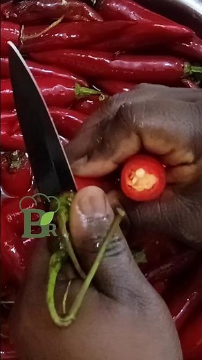 🌶️ How I Clean & Store Cayenne Peppers for Weeks!Fresh, crunchy, and freezer-ready peppers