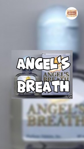 ANGEL’S BREATH Back in the 1980s and 1990s, Angel’s Breath cologne became a must-have fragrance in the Philippines. Its light, fresh scent made it perfect for everyday use, especially for kids. Moms would spray it on their children before they ran outside to play, making sure they stayed mabango all day. Founded by Nepomuceno Productions in the ‘80s, its scent originated in Spain and was introduced and refined in the Philippines. It quickly gained popularity, especially in the ‘90s, when it was 