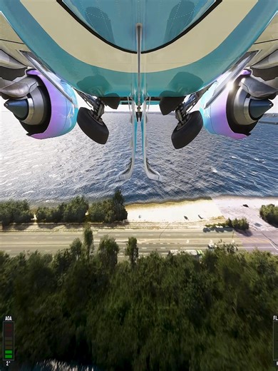 Beautiful Landing At St. Petersburg International Airport | Invincible Pilot