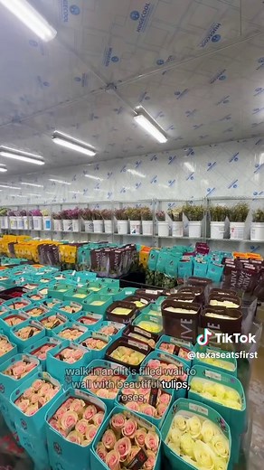 Explore Wholesale Flower Markets in Dallas and Houston