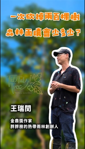 假設一次砍掉兩百棵樹，森林面積會減少多少呢？ | 胖胖樹的熱帶雨林（Fat-Fat Tree Tropical Rainforest）