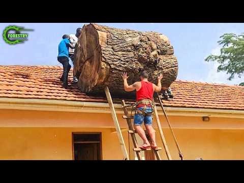 Idiots With Chainsaws: Tree Cutting Fails | Extreme Dangerous Logging Truck Fails #76