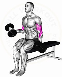 #fullworkout #fitness #exercises #gym #modelofitness #routines #fit | Full workout