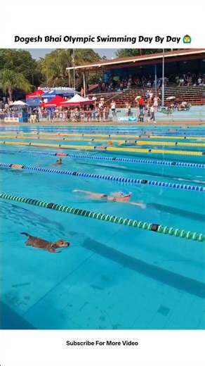 Dogesh Bhai Olympics Swimming Day By Day 🙆‍♂️ #shorts #shortvideo