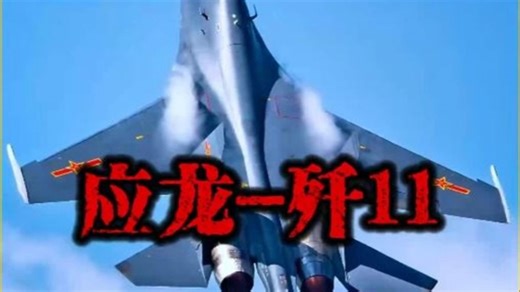 应龙-歼11 老兵不死，尚能一战！#军事科普 #军事科技 #歼11 #爱国教育从娃娃抓起
