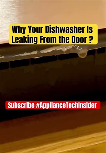 Why Your Dishwasher Is Leaking From the Door ? Found it.