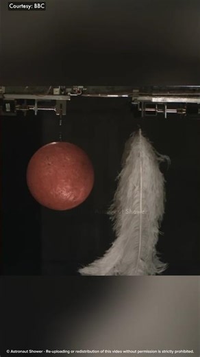 How a Feather and a Ball Fall Together | #shorts