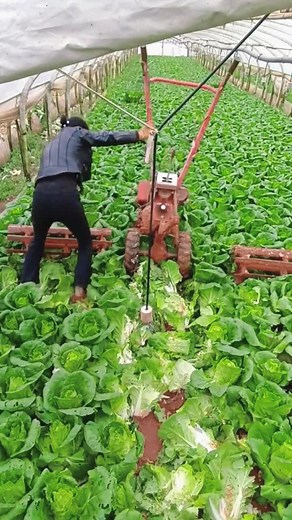 #foryou #satisfying #fyp #fypシ