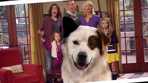 Dog With A Blog - S01 E01 Stan Of The House