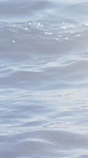 3 comments | #transformationtuesday These arms say it all. The confidence to go sleeveless all year round starts with Sofwave  | Smart Beauty Newton | Facebook