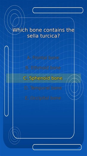 Which Bone contains the Sella Turcica | Medical Anatomy MCQ