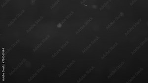 Real snow falling on dark background in 4K slow motion. footage for composing, motion graphics, Large and small snow snowflakes, Isolated falling snow