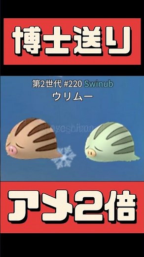 【ポケモンGO】メッソン色違い初実装！今日の1時間で差がつく！ウリムーやらないと損 #shorts