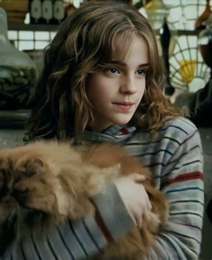 Why I Can't Be Friends with Muggles: A Harry Potter Edit