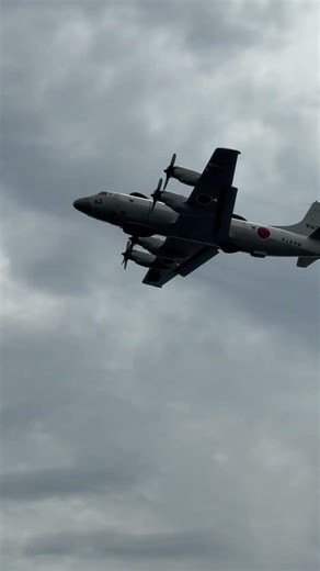 【迫力】海上自衛隊 P-3C 哨戒機 岩国基地での超低空ランディング！ JMSDF P-3C Landing