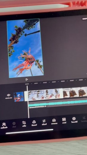 Relaxing Outdoor Scenes with Palm Trees and Sunset