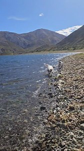 Warm day in the high country. | Adventures of Bambi and Fawn