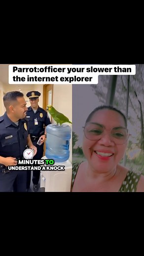 8.1K views · 15 reactions | #Parrot; #Officer your the slower than the internet explorer #Parrotviral #reelstrendingvideo | Maria Dhen Antiporda | Facebook