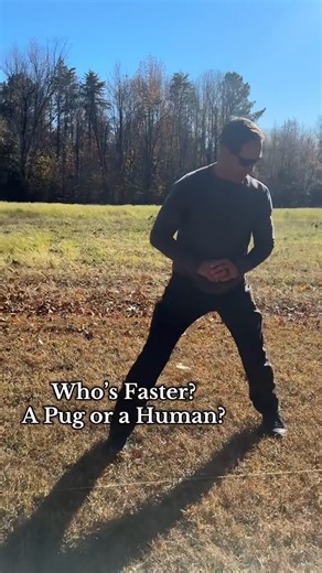 Okay but why do pugs always think they’re professional athletes? 😂🐾 This race had us laughing from start to finish. Big shoutout to @pugnaciouspetunia_n_peony for this adorable moment 💛 If your pug has endless zoomies like this, they might just deserve a little monthly surprise made just for them 📦🐶 Tell us — who would win in your house… pug or human? 👇 #PugLove #FunnyDogs #PugParents #PugCommunity #PugBoxes | Pug Box