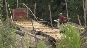 Peru looks for reforms after mining decimates the Amazon